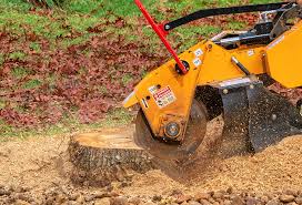 Best Lawn Disease Treatment  in Mora, MN